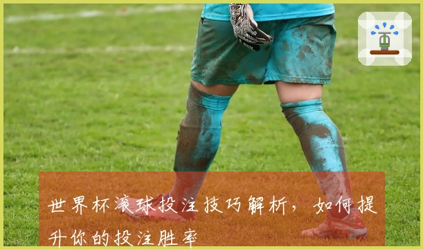 世界杯滚球投注技巧解析，如何提升你的投注胜率