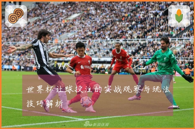世界杯让球投注的实战观察与玩法技巧解析