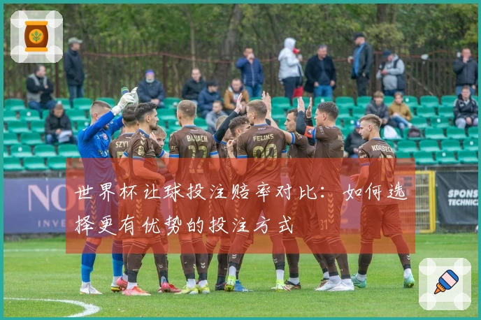 世界杯让球投注赔率对比：如何选择更有优势的投注方式