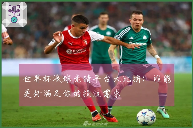 世界杯滚球竞猜平台大比拼：谁能更好满足你的投注需求