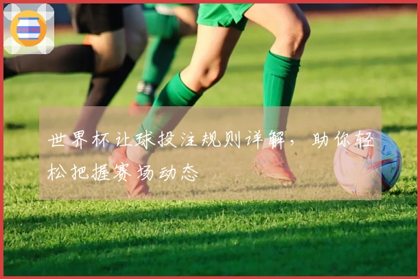 世界杯让球投注规则详解，助你轻松把握赛场动态