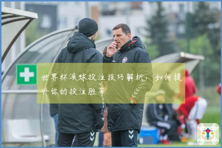 世界杯滚球投注技巧解析，如何提升你的投注胜率